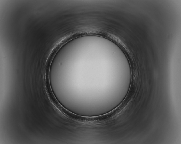 X0000085040629200703051026