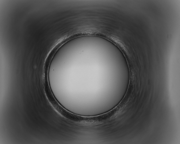 X0000085040630200703051026