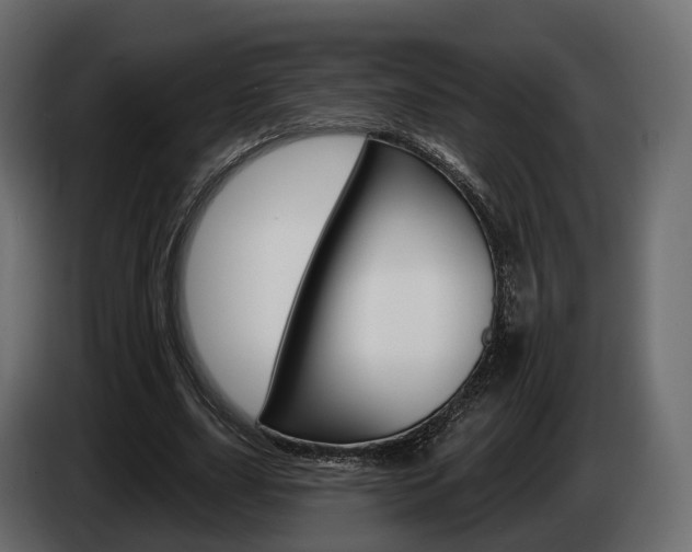 X0000085040631200703051026