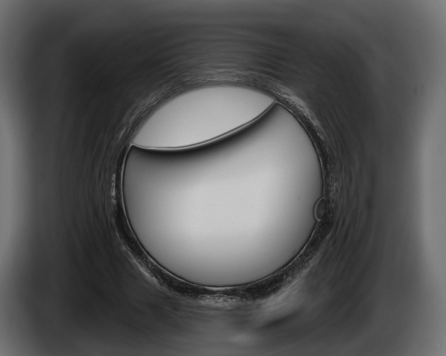 X0000085040633200703051026