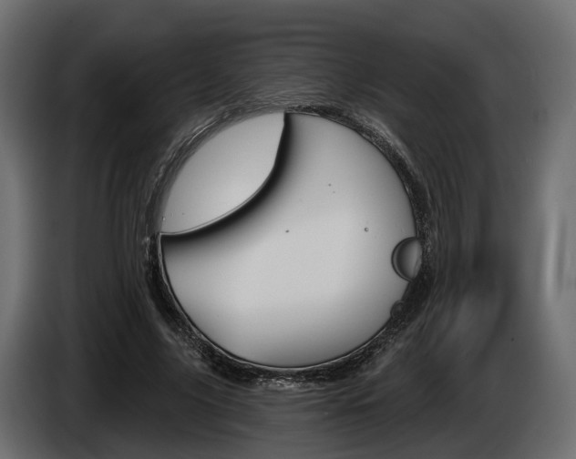 X0000085040635200703051026