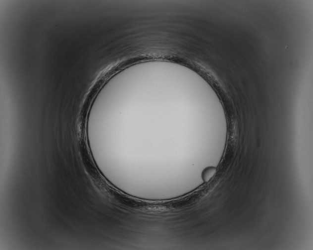 X0000085040636200703051026