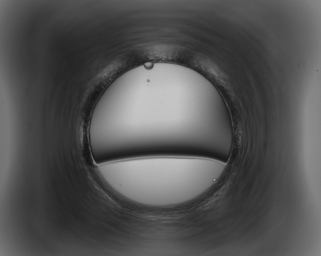 X0000085040637200703051026