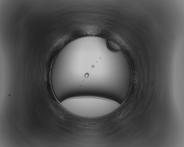 X0000085040639200703051026