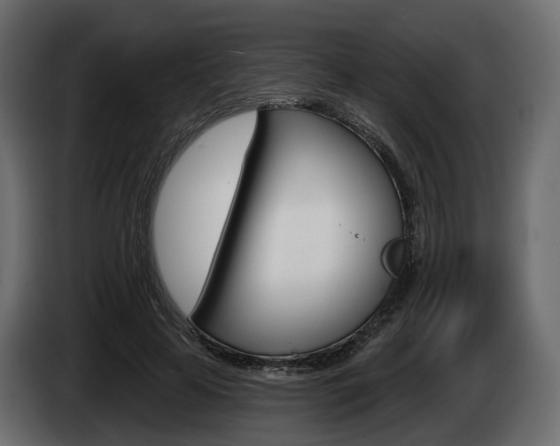 X0000085040641200703051026