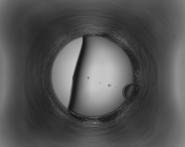X0000085040642200703051026