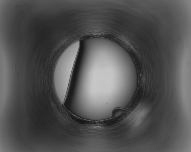 X0000085040643200703051026