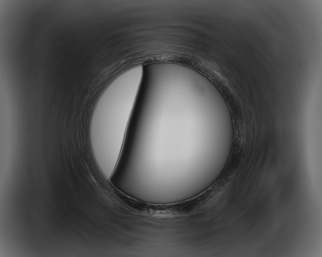 X0000085040645200703051026