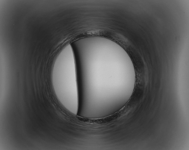 X0000085040648200703051026