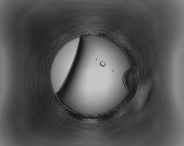 X0000085040649200703051026