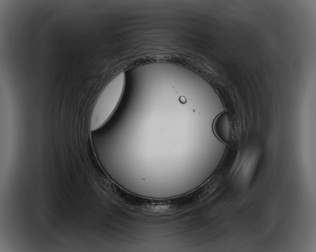 X0000085040651200703051026