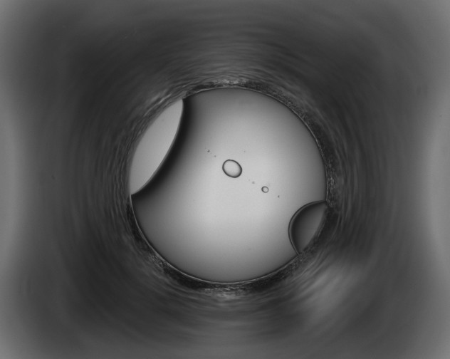X0000085040652200703051026