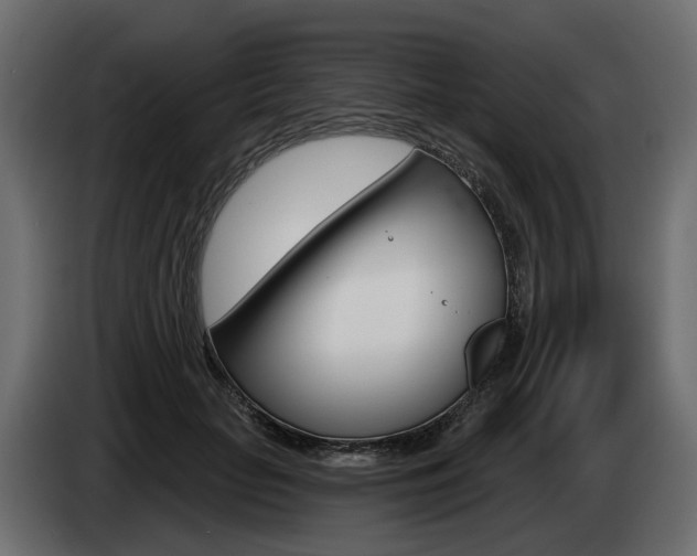 X0000085040653200703051026
