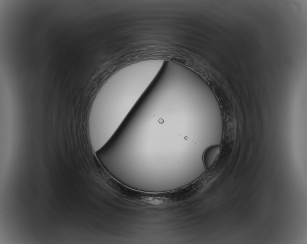 X0000085040654200703051026