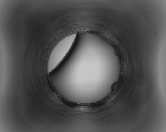 X0000085040655200703051026