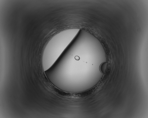 X0000085040656200703051026