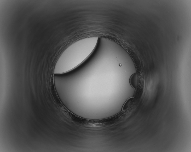 X0000085040657200703051026