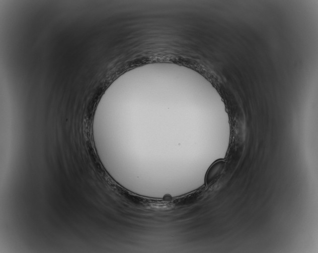 X0000085040659200703051026