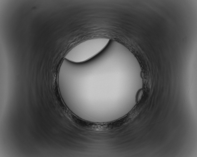 X0000085040660200703051026