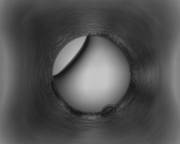 X0000085040661200703051026