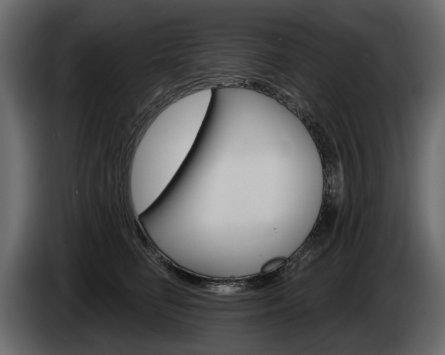 X0000085040662200703051026