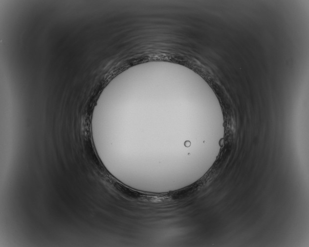 X0000085040663200703051026