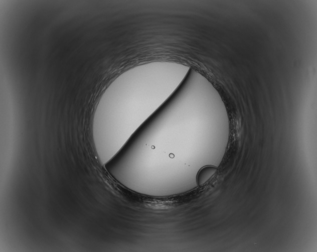 X0000085040664200703051026