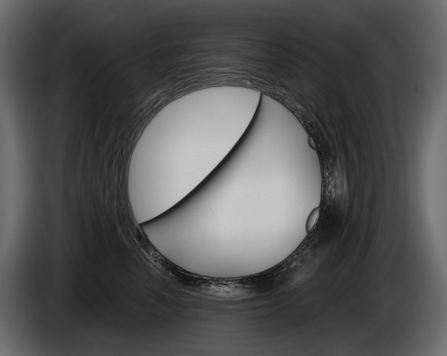 X0000085040666200703051026