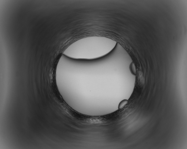 X0000085040668200703051026