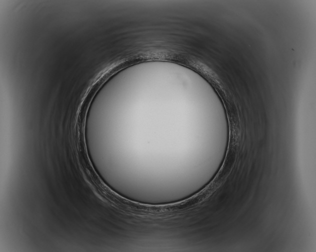 X0000085040674200703051026