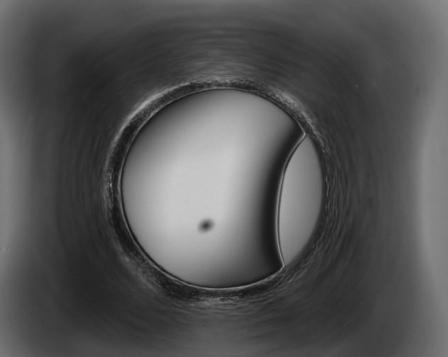 X0000085040680200703051026