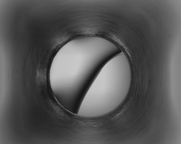 X0000085040681200703051026