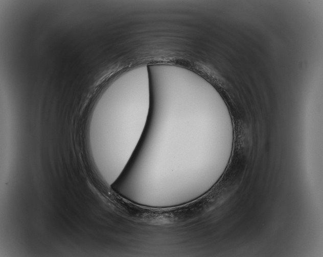 X0000085040683200703051026