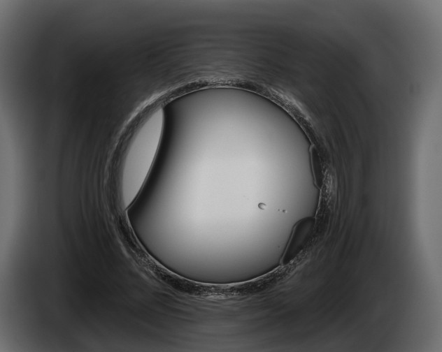 X0000085040684200703051026