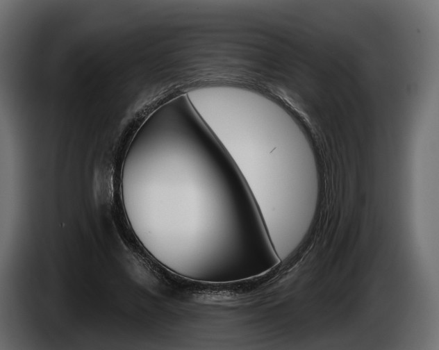 X0000085040685200703051026