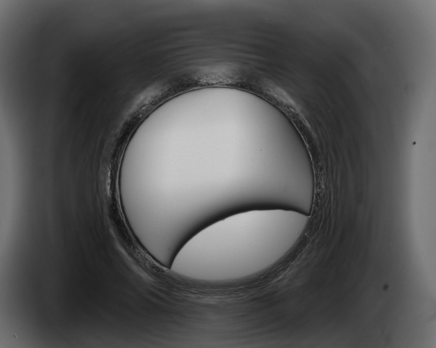 X0000085040686200703051026
