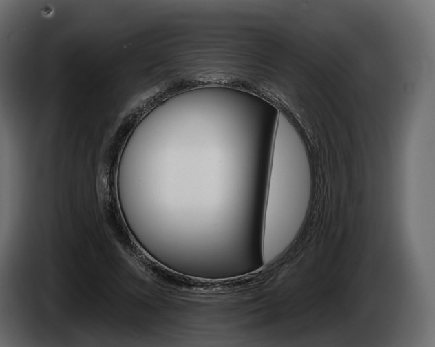 X0000085040688200703051026