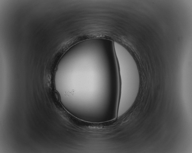 X0000085040693200703051025