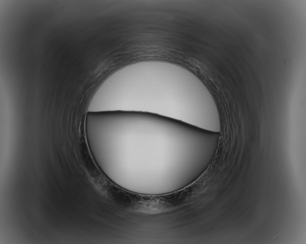 X0000085040695200703051025