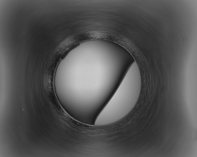 X0000085040696200703051025