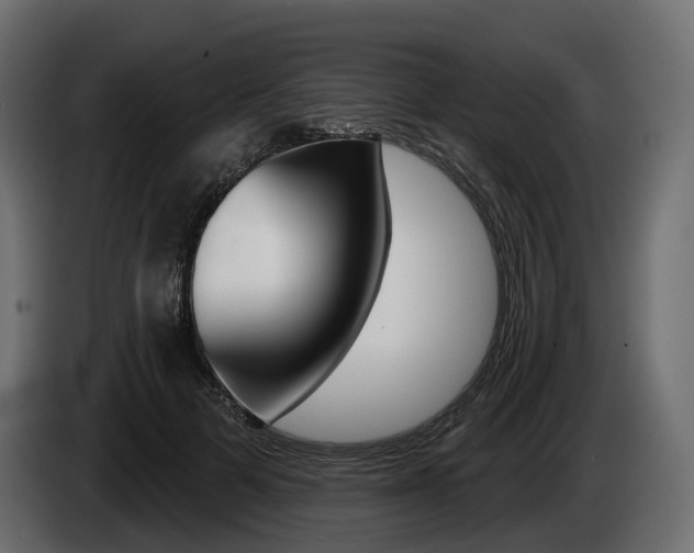 X0000085040697200703051025