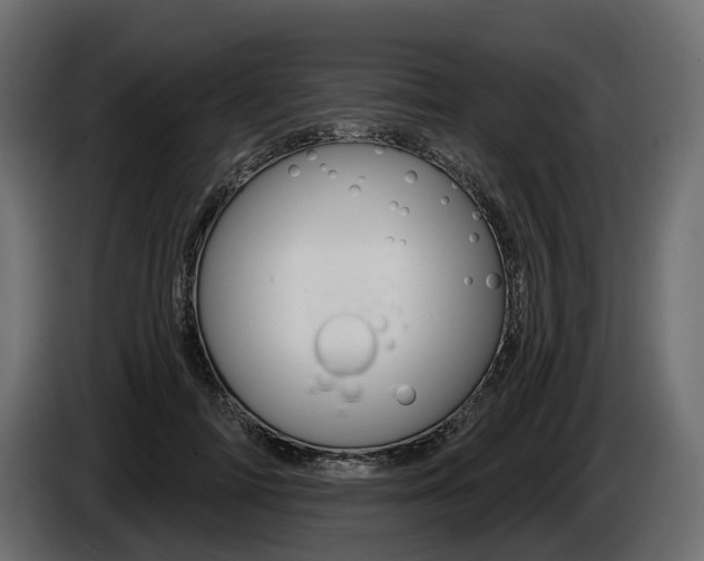 X0000085040698200703051025