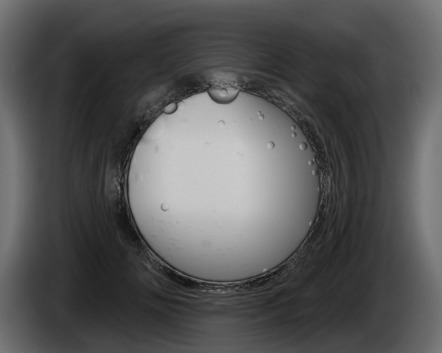 X0000085040702200703051025
