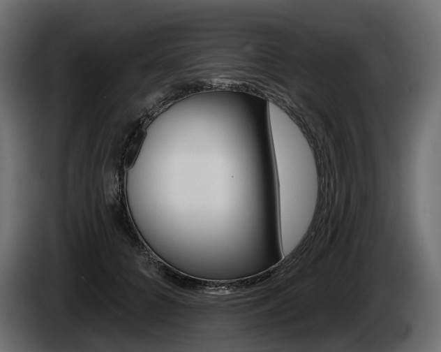 X0000085040704200703051025