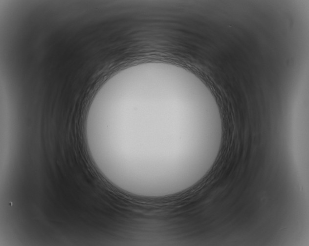 X0000085040705200703051025