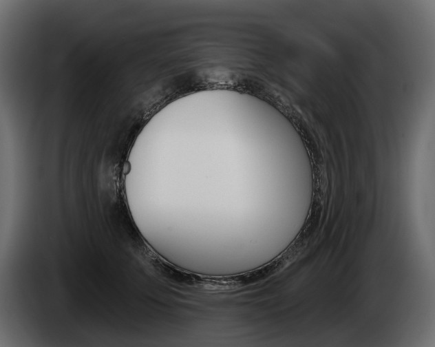 X0000085040707200703051025