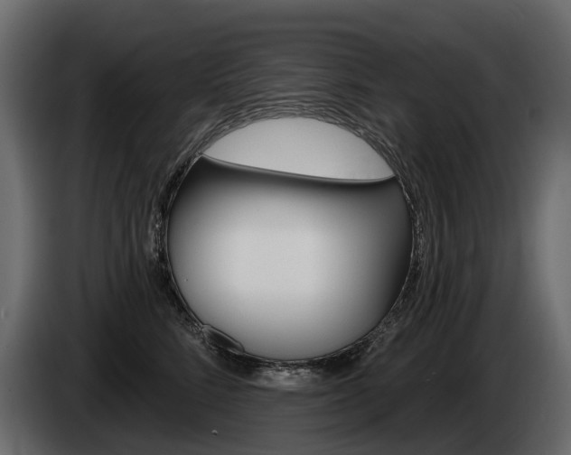 X0000085040712200703051025
