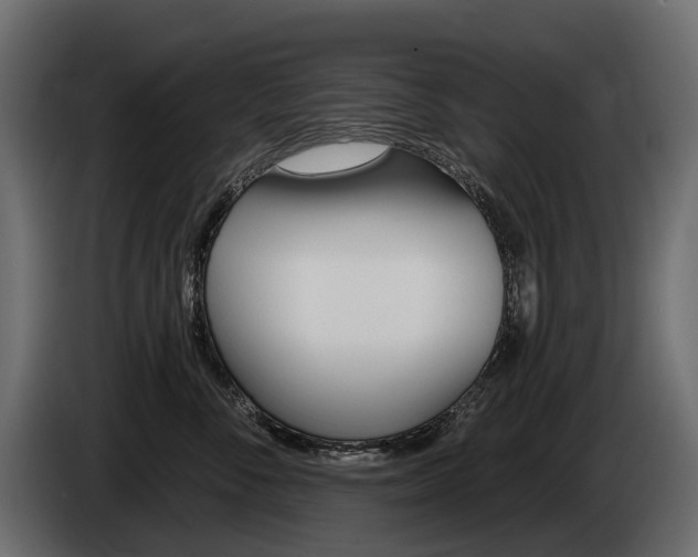 X0000085040716200703051025