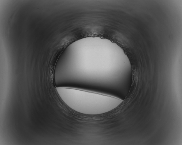 X0000085040719200703051025