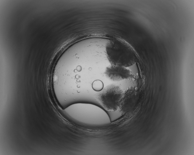 X0000085040725200703051025
